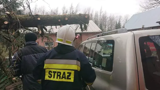 Kronika jednostki 2020 — cały rok — zdjęcie 590