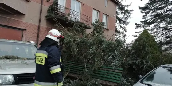 Kronika jednostki 2020 — cały rok — zdjęcie 594