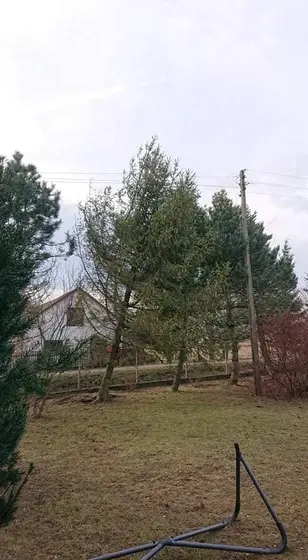 Kronika jednostki 2020 — cały rok — zdjęcie 604