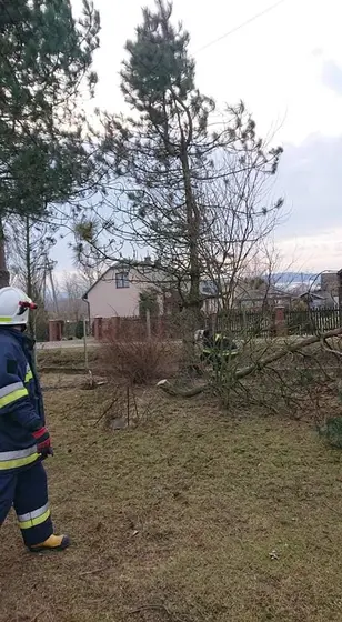 Kronika jednostki 2020 — cały rok — zdjęcie 607