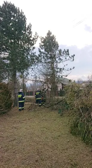 Kronika jednostki 2020 — cały rok — zdjęcie 608