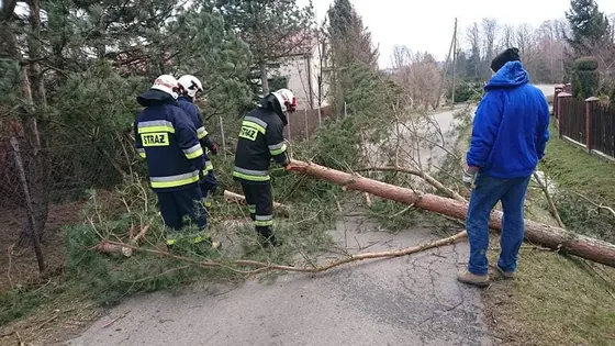 Kronika jednostki 2020 — cały rok — zdjęcie 609