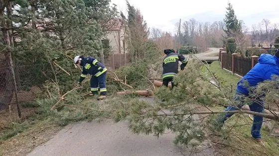 Kronika jednostki 2020 — cały rok — zdjęcie 612
