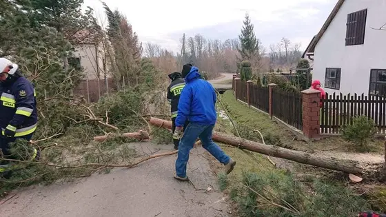 Kronika jednostki 2020 — cały rok — zdjęcie 614