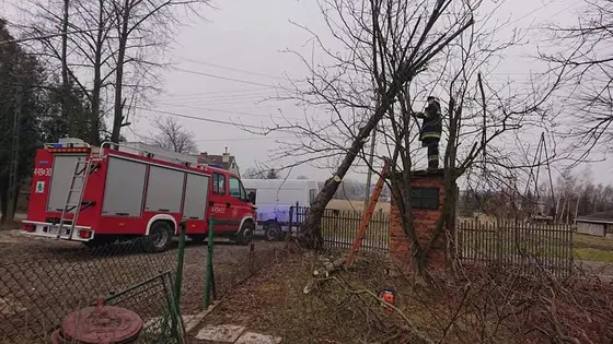Kronika jednostki 2020 — cały rok — zdjęcie 616