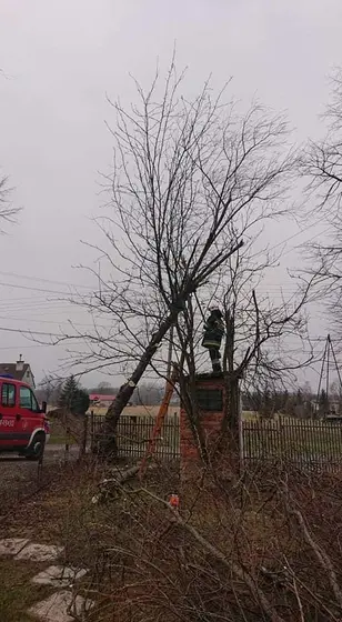 Kronika jednostki 2020 — cały rok — zdjęcie 617