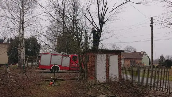 Kronika jednostki 2020 — cały rok — zdjęcie 619