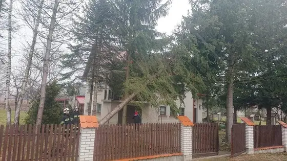 Kronika jednostki 2020 — cały rok — zdjęcie 620