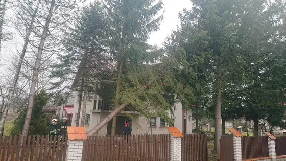 Kronika jednostki 2020 — cały rok — zdjęcie 621