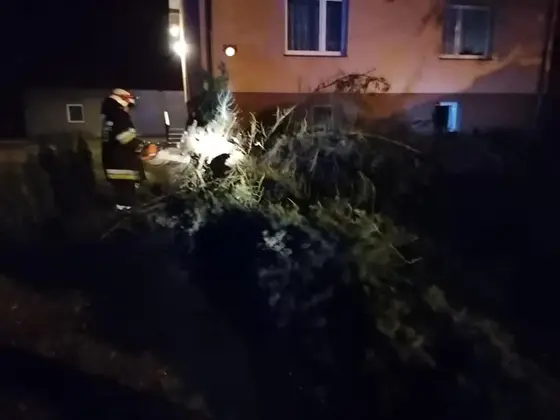 Kronika jednostki 2020 — cały rok — zdjęcie 480