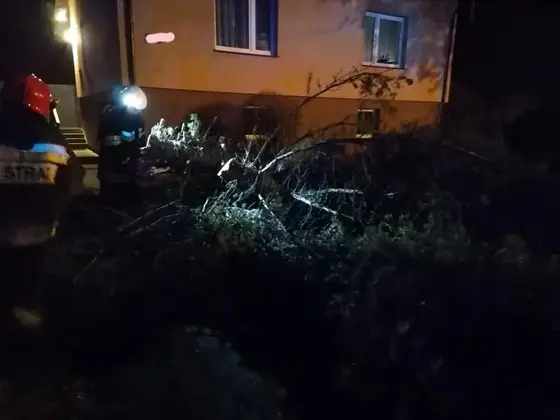 Kronika jednostki 2020 — cały rok — zdjęcie 482