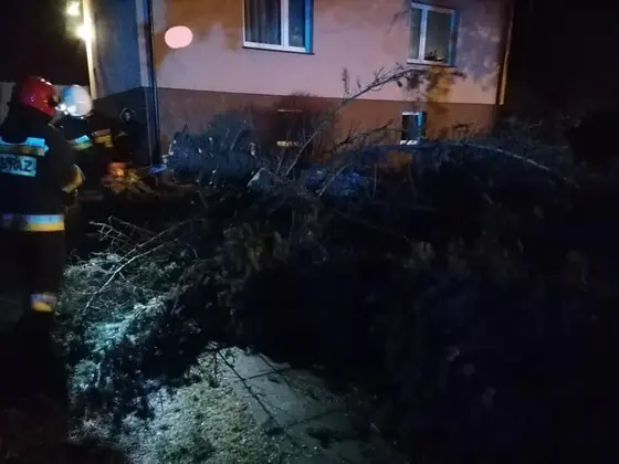 Kronika jednostki 2020 — cały rok — zdjęcie 483