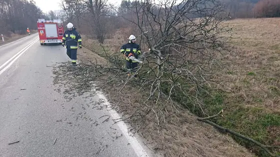 Miejscowe zagrożenie — 17 lutego 2020 — zdjęcie 2