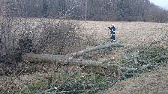 Miejscowe zagrożenie — 17 lutego 2020 — zdjęcie 3