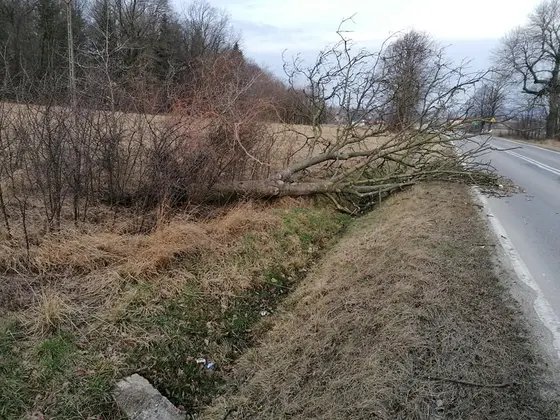 Miejscowe zagrożenie — 17 lutego 2020 — zdjęcie 5