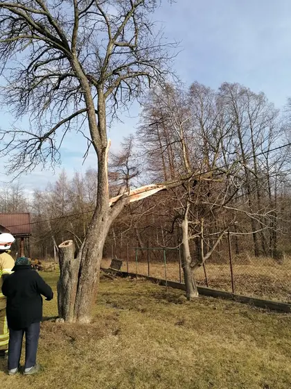 Miejscowe zagrożenie — 17 lutego 2020 — zdjęcie 15