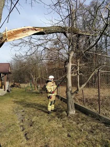 Miejscowe zagrożenie — 17 lutego 2020 — zdjęcie 19