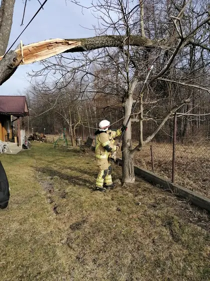 Miejscowe zagrożenie — 17 lutego 2020 — zdjęcie 20