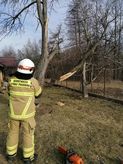 Miejscowe zagrożenie — 17 lutego 2020 — zdjęcie 21