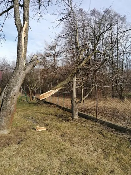 Miejscowe zagrożenie — 17 lutego 2020 — zdjęcie 22