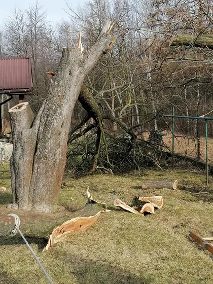 Miejscowe zagrożenie — 17 lutego 2020 — zdjęcie 25