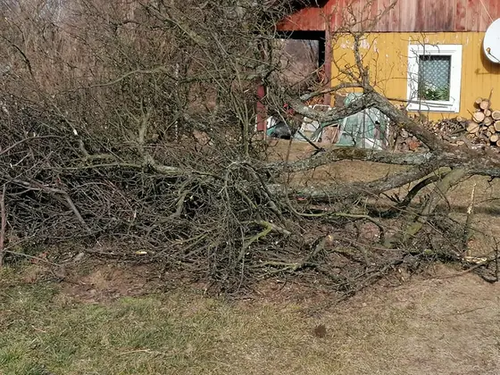 Miejscowe zagrożenie — 17 lutego 2020 — zdjęcie 26