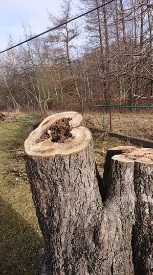 Miejscowe zagrożenie — 17 lutego 2020 — zdjęcie 33
