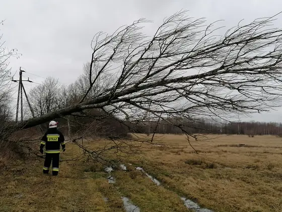 Miejscowe zagrożenie — 24 lutego 2020