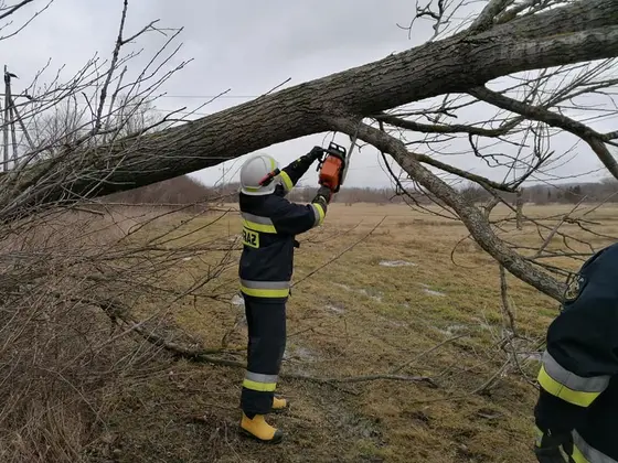 Miejscowe zagrożenie — 24 lutego 2020 — zdjęcie 4
