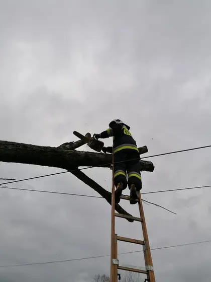 Miejscowe zagrożenie — 24 lutego 2020 — zdjęcie 8