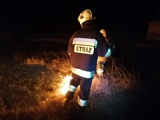 Działania gaśnicze — 12 marca 2020 — zdjęcie 2