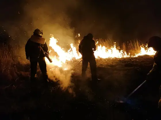 Działania gaśnicze — 17 marca 2020 — zdjęcie 5
