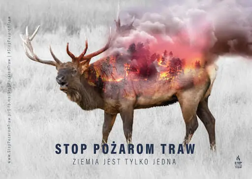 Działania gaśnicze — 17 marca 2020 — zdjęcie 11