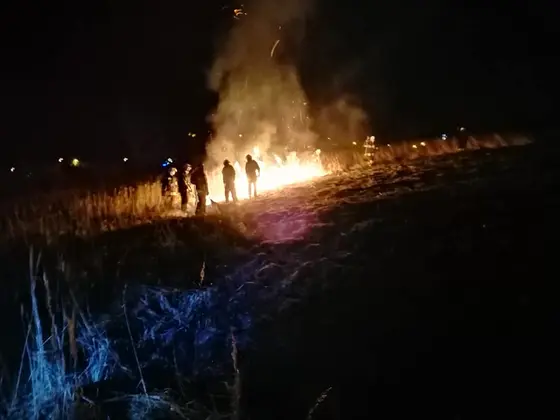 Działania gaśnicze — 19 marca 2020 — zdjęcie 2