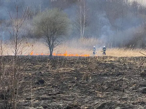 Kronika jednostki 2021 — cały rok — zdjęcie 883