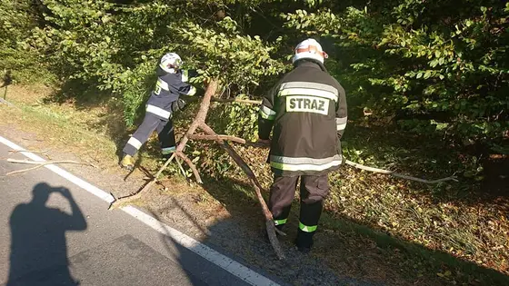 Miejscowe zagrożenie — 13 października 2021
