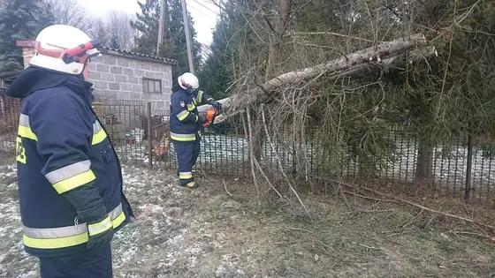 Kronika jednostki 2022 — cały rok — zdjęcie 1389