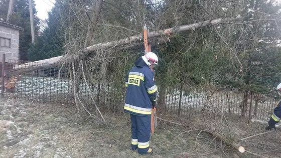 Kronika jednostki 2022 — cały rok — zdjęcie 1390