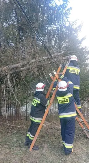 Kronika jednostki 2022 — cały rok — zdjęcie 1391