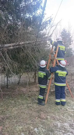 Kronika jednostki 2022 — cały rok — zdjęcie 1392