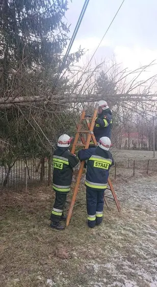 Kronika jednostki 2022 — cały rok — zdjęcie 1393