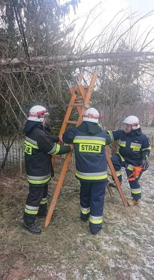 Kronika jednostki 2022 — cały rok — zdjęcie 1394