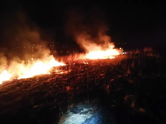 Kronika jednostki 2022 — cały rok — zdjęcie 1037