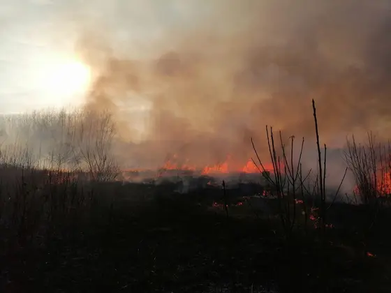 Kronika jednostki 2022 — cały rok — zdjęcie 992