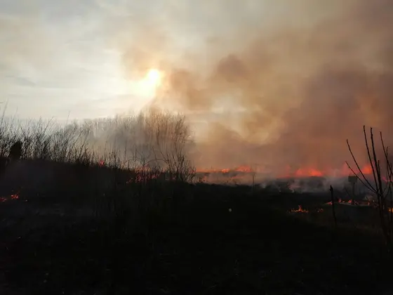 Kronika jednostki 2022 — cały rok — zdjęcie 993