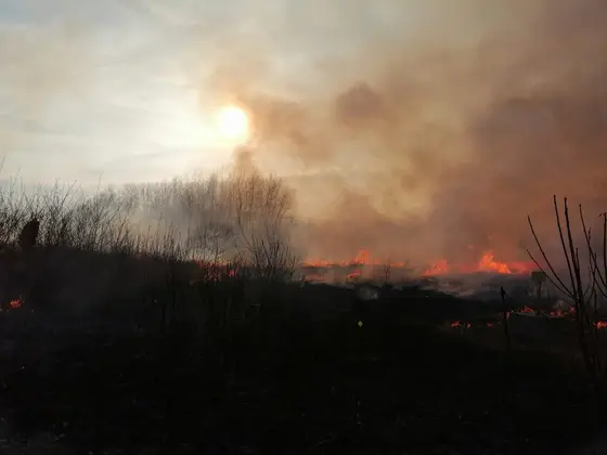 Kronika jednostki 2022 — cały rok — zdjęcie 995