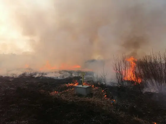 Kronika jednostki 2022 — cały rok — zdjęcie 997