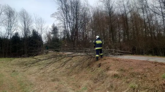 Kronika jednostki 2023 — cały rok — zdjęcie 1513