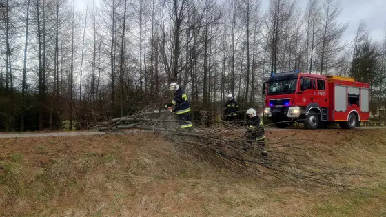 Kronika jednostki 2023 — cały rok — zdjęcie 1516