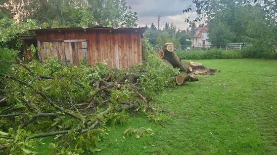 Miejscowe zagrożenie — 20 sierpnia 2023 — zdjęcie 7